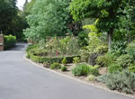 Surrey Gardens