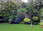 Surrey Gardens